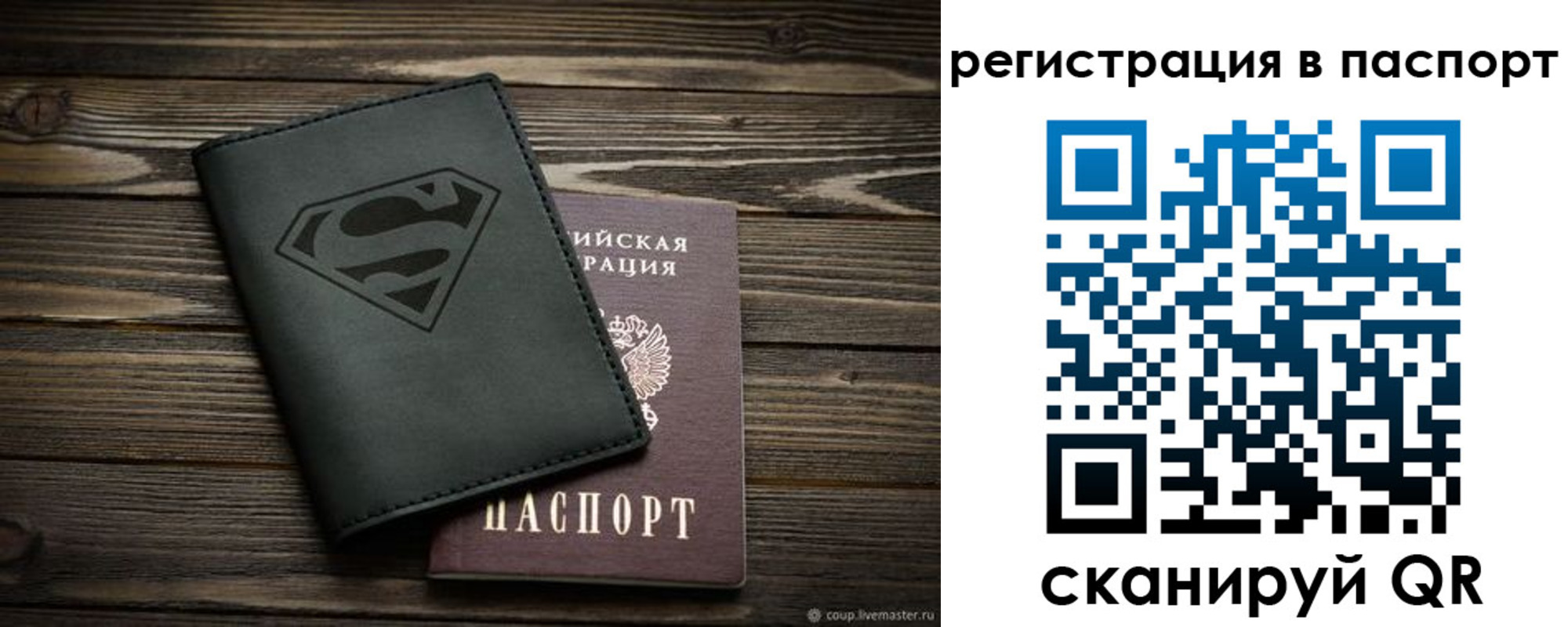 прописка для школы в Куртамыше